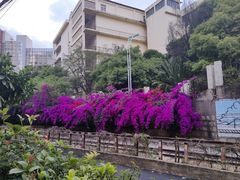 -云南师范大学(一二一西南联大校区)
