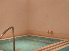 -深圳国际会展中心希尔顿酒店(前海华发冰雪世界店)