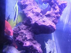 -五缘湾悦都汇购物中心