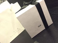 -BLACKSWAN黑天鹅(环球店)
