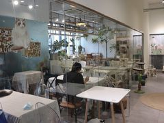 大堂-吉丁鸟咖·异宠·寄养