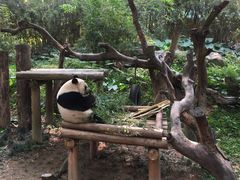 -维也纳酒店(广州南站汉溪长隆地铁站万博地铁站店)
