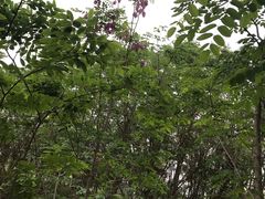 -白鹭湾湿地公园