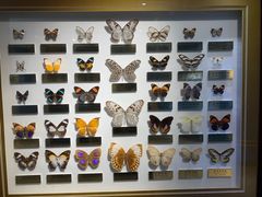 -上海昆虫博物馆