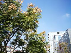 -中共上海市委党校 上海行政学院