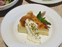 -O'eat Blossom&Pelican(深圳首店)