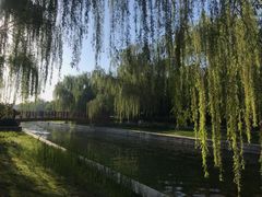 -元大都城垣遗址公园