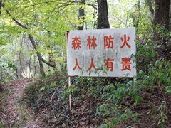 -惠山国家森林公园