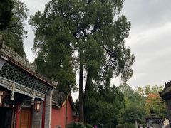 -武侯墓风景区