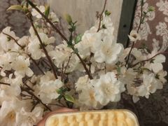 -六伴夏烘焙蛋糕·低糖动物奶油