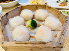 虾饺-麒麟中餐厅·经典粤菜·地道菜式老字号(广州长隆酒店)