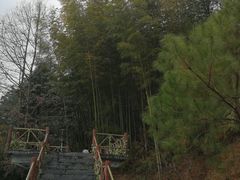 -金子山原生态旅游风景区