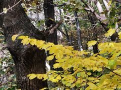 -终南山南五台景区