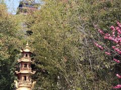 -竹林寺