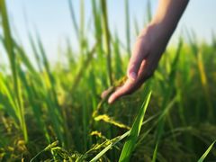 -煲煲掂风味煲仔饭餐厅(西区店)