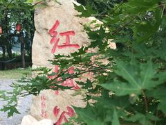 -丹东天桥沟景区