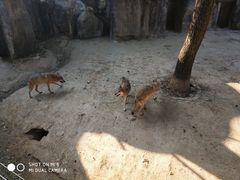 -南昌动物园