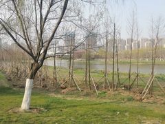 -滨湖塘西河公园