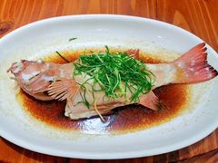 -顺德了能馆(虎门店)