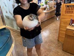 -天正河鲀·河豚亭(大连店)