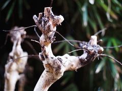 -苏州河梦清园环保主题公园