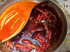 鸳鸯锅底（小锅）-大龙燚火锅(科华店)