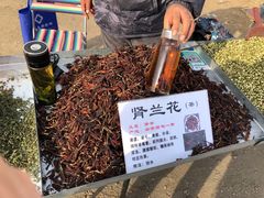 -示范集贸市场