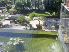 -蘇河湾·新鲁菜·泰山宴(泰山店)