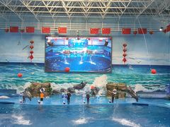 -多彩贵州城极地海洋世界