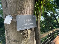 -深圳仙湖植物园