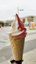 -1912拾光车站有轨小火车(仙林站)