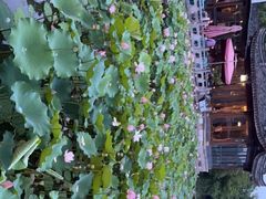 -湘湖大院(越王路店)