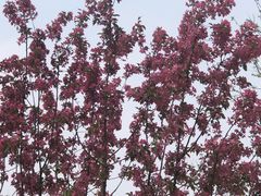 -窦店服务区-停车场