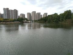 -新江湾城公园