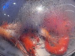 -山海•蒸汽活海鲜自助(皇庭广场店)