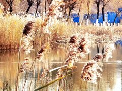 -门城湖公园