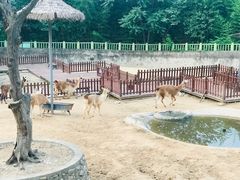 -西安秦岭野生动物园