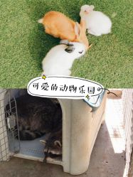 -萌宠亲子动物乐园(槐房万达店)