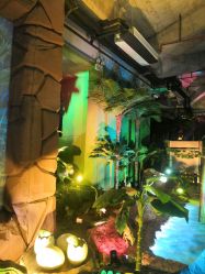 -恐龙探索乐园(磁器口店)