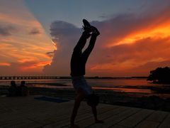 -宝安西湾红树林湿地公园