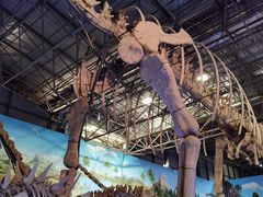 -西峡恐龙遗迹园