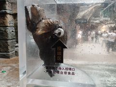 -波塞冬海底世界