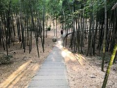 -藏龙百瀑风景区