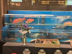 -许家菜(DT51店)