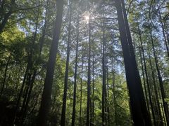 -波尔登森林公园