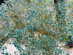 -莱仪堂艾灸经络养生馆(九亭一店)