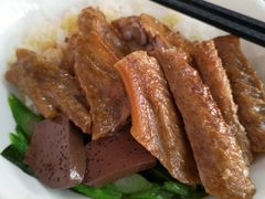 -乌文新澄海卤鹅店