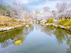 -国家植物园