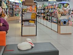 -全心全意动物诊疗中心医院(北苑店)