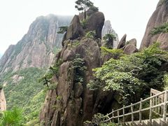 -黄山风景区